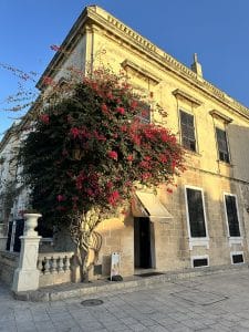 - IMG 0351
