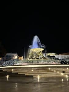 - IMG 0516