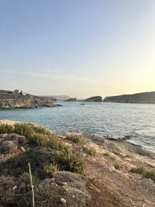 - IMG 0904