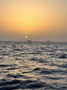 - IMG 0986
