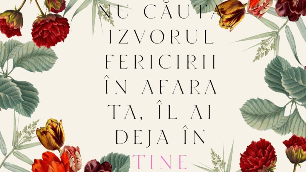 - NU CAUTA IZVORUL FERICIRII IN AFARA TA IL AI DEJA IN TINE 2 - NU CAUTA IZVORUL FERICIRII IN AFARA TA IL AI DEJA IN TINE